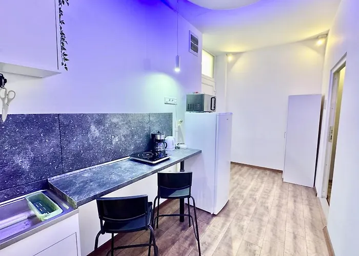 Apartment K87 Renovated 6br Budapest